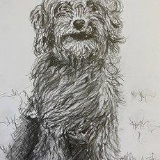 Cooper