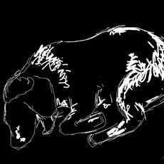 A super-quick digital sketch of Daisy the Spaniel