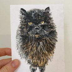 A commission of a much loved (if slightly grumpy looking) cat!