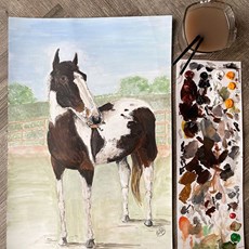 A soft, simple pastel background with stronger tones on the Horse