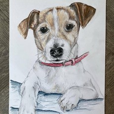 Max the dog