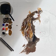 A Spaniel Commission